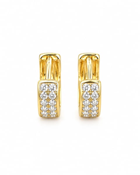 Gold-Plated Hoop Earrings